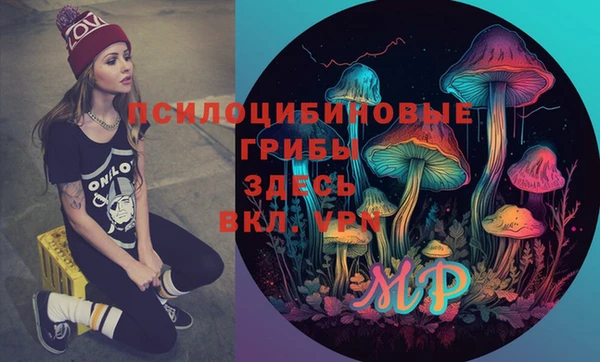 ГАЛЛЮЦИНОГЕННЫЕ ГРИБЫ Нея