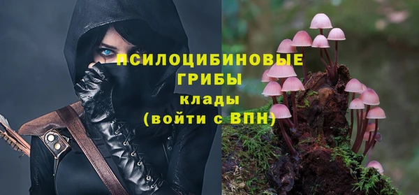 ГАЛЛЮЦИНОГЕННЫЕ ГРИБЫ Нея