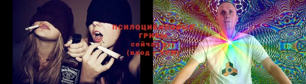 ГАЛЛЮЦИНОГЕННЫЕ ГРИБЫ Нея