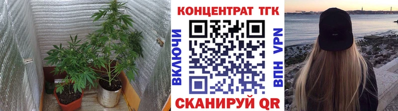 Купить где  Дивногорск  Дистиллят ТГК гашишное масло 