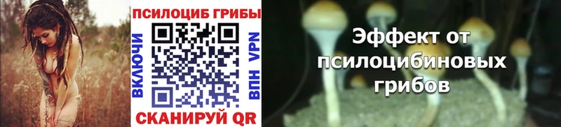 Галлюциногенные грибы Cubensis  Купить  Дивногорск 